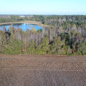 Photo of SOLD!  112 Acres of Farm and Recreational Land For Sale in Robeson County NC!