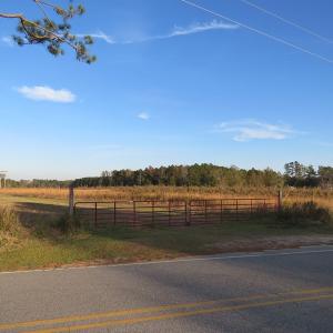 Photo of SOLD!  112 Acres of Farm and Recreational Land For Sale in Robeson County NC!