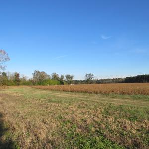 Photo of SOLD!  112 Acres of Farm and Recreational Land For Sale in Robeson County NC!