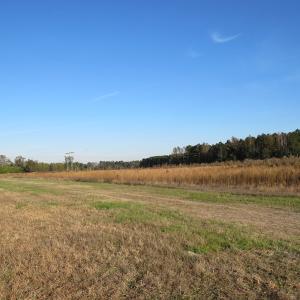 Photo of SOLD!  112 Acres of Farm and Recreational Land For Sale in Robeson County NC!