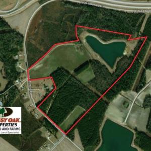 Photo of SOLD!  112 Acres of Farm and Recreational Land For Sale in Robeson County NC!