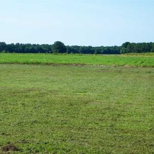 Photo of 0.36  Acre Residential Lot For Sale in Southampton County VA!