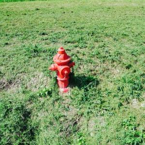 Photo of 0.36  Acre Residential Lot For Sale in Southampton County VA!