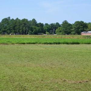 Photo of 0.36  Acre Residential Lot For Sale in Southampton County VA!