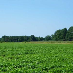 Photo of 0.41 Acre Residential Lot For Sale in Southampton County VA!