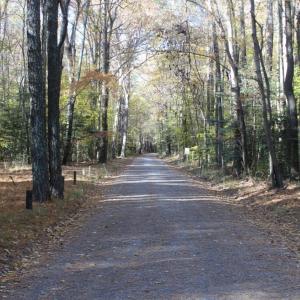 Photo of UNDER CONTRACT!  12.7 Acres of Residential Hunting Land For Sale in Isle of Wight County VA!