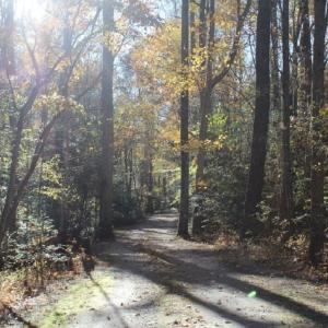 Photo of UNDER CONTRACT!  12.7 Acres of Residential Hunting Land For Sale in Isle of Wight County VA!