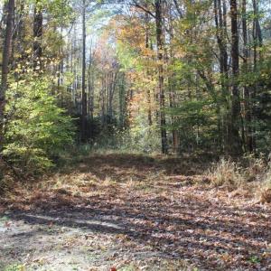 Photo of UNDER CONTRACT!  12.7 Acres of Residential Hunting Land For Sale in Isle of Wight County VA!