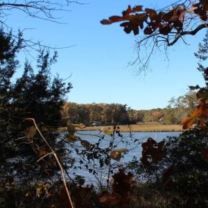Photo of UNDER CONTRACT!  12.7 Acres of Residential Hunting Land For Sale in Isle of Wight County VA!