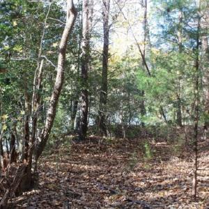 Photo of UNDER CONTRACT!  12.7 Acres of Residential Hunting Land For Sale in Isle of Wight County VA!