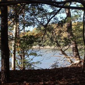 Photo of UNDER CONTRACT!  12.7 Acres of Residential Hunting Land For Sale in Isle of Wight County VA!