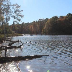 Photo of UNDER CONTRACT!  12.7 Acres of Residential Hunting Land For Sale in Isle of Wight County VA!