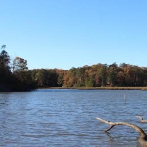 Photo of UNDER CONTRACT!  12.7 Acres of Residential Hunting Land For Sale in Isle of Wight County VA!