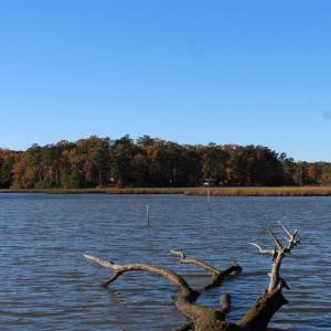 Photo of UNDER CONTRACT!  12.7 Acres of Residential Hunting Land For Sale in Isle of Wight County VA!
