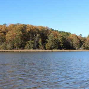 Photo of UNDER CONTRACT!  12.7 Acres of Residential Hunting Land For Sale in Isle of Wight County VA!