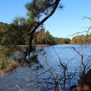 Photo of UNDER CONTRACT!  12.7 Acres of Residential Hunting Land For Sale in Isle of Wight County VA!
