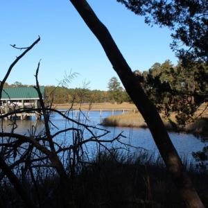 Photo of UNDER CONTRACT!  12.7 Acres of Residential Hunting Land For Sale in Isle of Wight County VA!