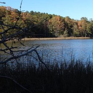 Photo of UNDER CONTRACT!  12.7 Acres of Residential Hunting Land For Sale in Isle of Wight County VA!