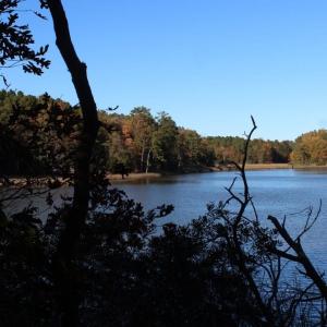 Photo of UNDER CONTRACT!  12.7 Acres of Residential Hunting Land For Sale in Isle of Wight County VA!