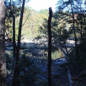 Photo of UNDER CONTRACT!  12.7 Acres of Residential Hunting Land For Sale in Isle of Wight County VA!