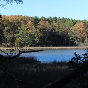 Photo of UNDER CONTRACT!  12.7 Acres of Residential Hunting Land For Sale in Isle of Wight County VA!