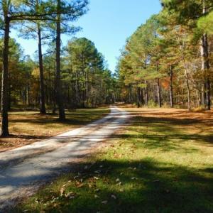 Photo of UNDER CONTRACT!  196.4 Acres of Residential and Timber Land For Sale in Edgecombe County NC!