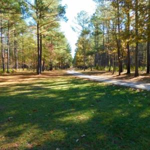 Photo of UNDER CONTRACT!  196.4 Acres of Residential and Timber Land For Sale in Edgecombe County NC!