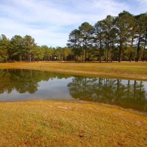Photo of UNDER CONTRACT!  196.4 Acres of Residential and Timber Land For Sale in Edgecombe County NC!