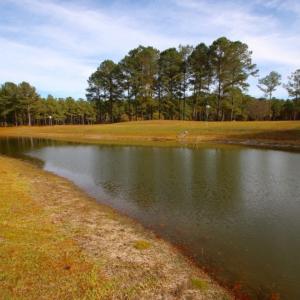 Photo of UNDER CONTRACT!  196.4 Acres of Residential and Timber Land For Sale in Edgecombe County NC!