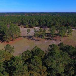 Photo of UNDER CONTRACT!  196.4 Acres of Residential and Timber Land For Sale in Edgecombe County NC!
