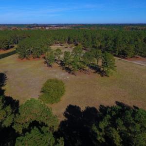 Photo of UNDER CONTRACT!  196.4 Acres of Residential and Timber Land For Sale in Edgecombe County NC!