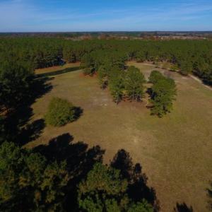 Photo of UNDER CONTRACT!  196.4 Acres of Residential and Timber Land For Sale in Edgecombe County NC!