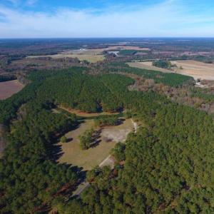Photo of UNDER CONTRACT!  196.4 Acres of Residential and Timber Land For Sale in Edgecombe County NC!