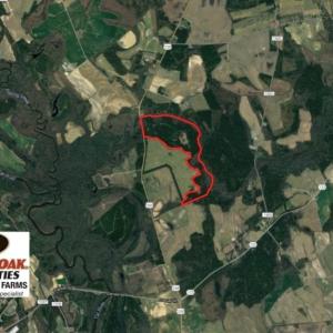 Photo of UNDER CONTRACT!  196.4 Acres of Residential and Timber Land For Sale in Edgecombe County NC!