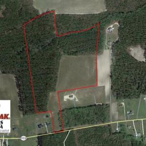 Photo of UNDER CONTRACT!  34.116 Acres Of Open Timber Land For Sale in Southampton County VA!