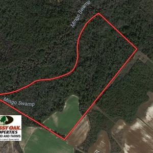 Photo of SOLD!  65 Acres of Hunting and Farm Land For Sale in Sampson County NC!