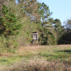 Photo of SOLD!  65 Acres of Hunting and Farm Land For Sale in Sampson County NC!