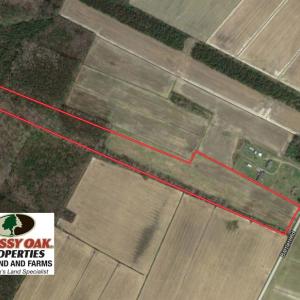 Photo of SOLD!  13 Acres of Farm and Timber Land For Sale in Camden County NC!