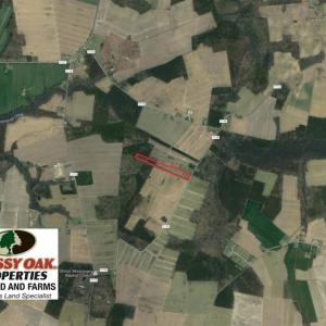 Photo of SOLD!  13 Acres of Farm and Timber Land For Sale in Camden County NC!