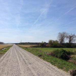 Photo of SOLD!  13 Acres of Farm and Timber Land For Sale in Camden County NC!