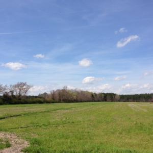 Photo of SOLD!  13 Acres of Farm and Timber Land For Sale in Camden County NC!