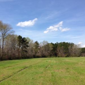 Photo of SOLD!  13 Acres of Farm and Timber Land For Sale in Camden County NC!