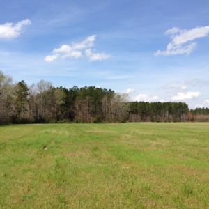 Photo of SOLD!  13 Acres of Farm and Timber Land For Sale in Camden County NC!