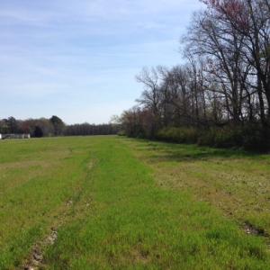 Photo of SOLD!  13 Acres of Farm and Timber Land For Sale in Camden County NC!