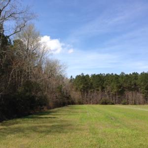 Photo of SOLD!  13 Acres of Farm and Timber Land For Sale in Camden County NC!
