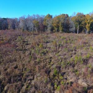 Photo of UNDER CONTRACT!  70.53 Acres of Hunting and Timber Land For Sale in Edgecombe County NC!
