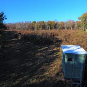 Photo of UNDER CONTRACT!  70.53 Acres of Hunting and Timber Land For Sale in Edgecombe County NC!