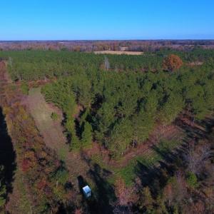 Photo of UNDER CONTRACT!  70.53 Acres of Hunting and Timber Land For Sale in Edgecombe County NC!