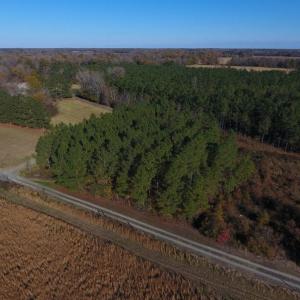 Photo of UNDER CONTRACT!  70.53 Acres of Hunting and Timber Land For Sale in Edgecombe County NC!