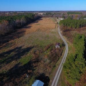 Photo of UNDER CONTRACT!  70.53 Acres of Hunting and Timber Land For Sale in Edgecombe County NC!